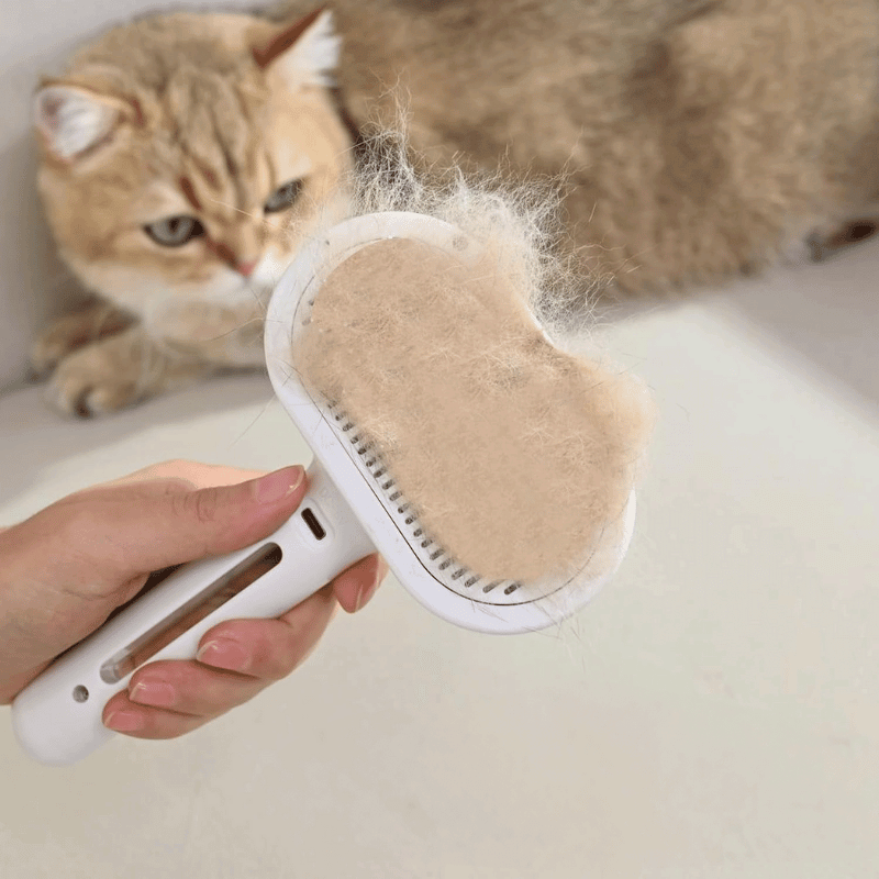 Pet Spray Hair Removal Comb, 1-piece pet hair brush
