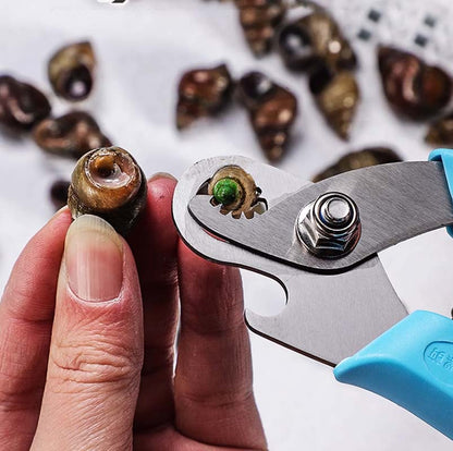 🔥2025 New Arrival🔥 Snail Seafood Shell Cutting Tool